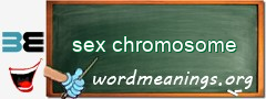 WordMeaning blackboard for sex chromosome